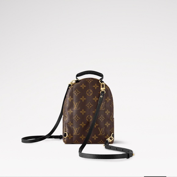 BRAND NEW palm springs mini louis vuitton backpack! With tags and dust bag - Picture 4 of 4